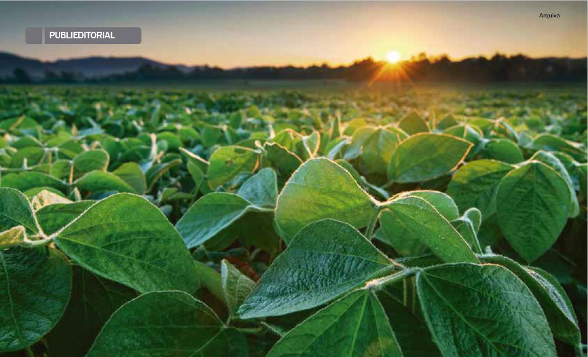 Artigo Revista Cultivar